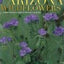 Arizona Wildflowers: A Year-Round Guide to Nature's Blooms (Travel Arizona Collection)