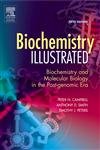 Biochemistry Illustrated: Biochemistry and Molecular Biology in the Post-Genomic Era