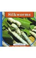 Silkworms (Life Cycles)