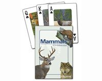 Mammals of the Midwest Playing Cards (Nature's Wild Cards)