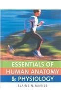 Essentials of Human Anatomy & Physiology