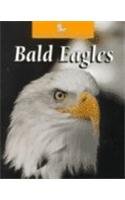 Bald Eagles (Untamed World)