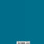 Diabetes and Pregnancy: Teratology, Toxicity and Treatment