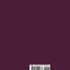Management Auditing as a Regulatory Tool: The New York State Experience