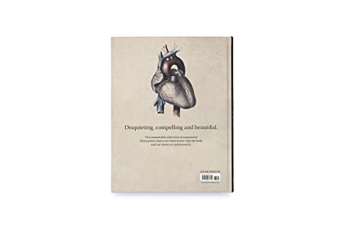 Anatomica: The Exquisite and Unsettling Art of Human Anatomy