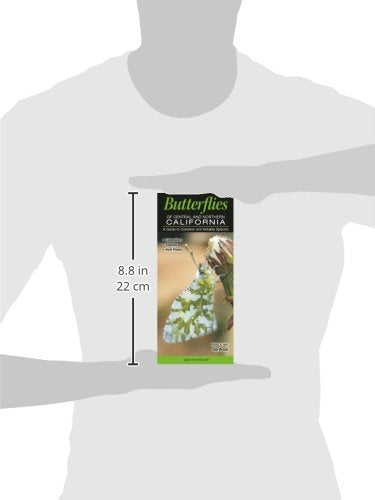 Butterflies of Central & Northern California: A Guide to Common & Notable Species