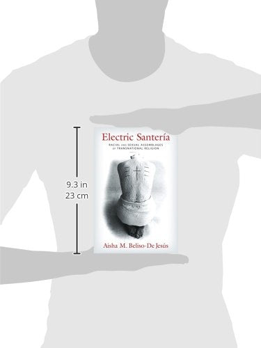 Electric Santería: Racial and Sexual Assemblages of Transnational Religion (Gender, Theory, and Religion)