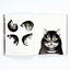 The Book of the Cat: Cats in Art