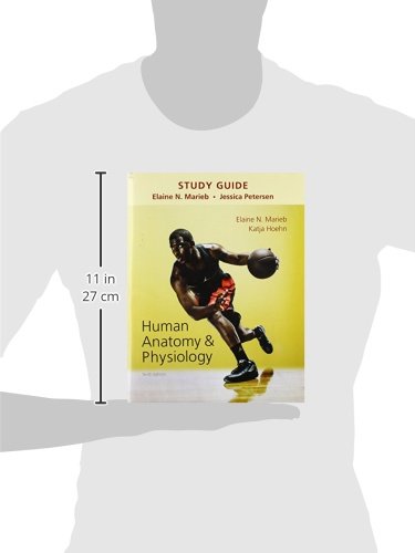 Study Guide for Human Anatomy & Physiology