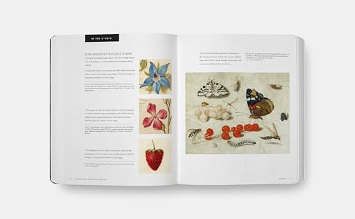 Beginning Drawing Atelier: An Instructional Sketchbook