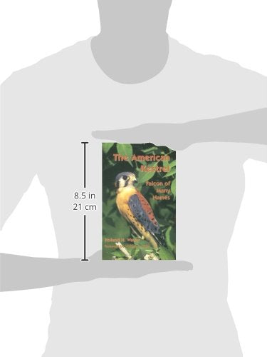 The American Kestrel: Falcon of Many Names