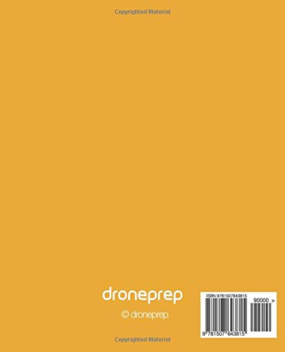 UAS Pilot Log: Unmanned Aircraft Systems Logbook for Drone Pilots & Operators (Gold)