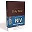 NIV, Church Bible (Pew Bible), Large Print, Hardcover, Burgundy, Comfort Print