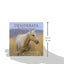 Desiderata for Horse Lovers: A Guide to Life & Happiness