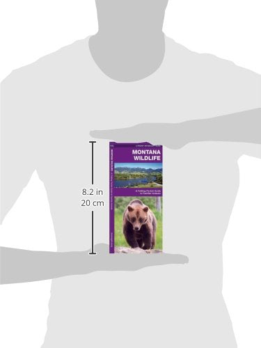 Montana Wildlife: A Folding Pocket Guide to Familiar Animals (Wildlife and Nature Identification)