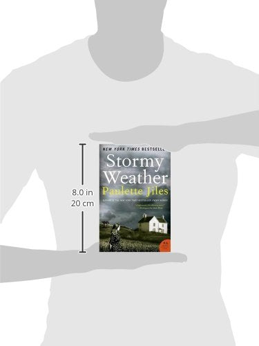 Stormy Weather: A Novel