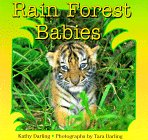 Rain Forest Babies