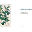 Hollies for Gardeners