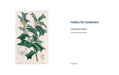 Hollies for Gardeners