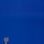 JPS TANAKH: The Holy Scriptures (blue) - New JPS Translation