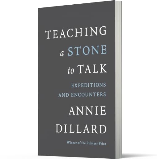 Teaching a Stone to Talk: Expeditions and Encounters