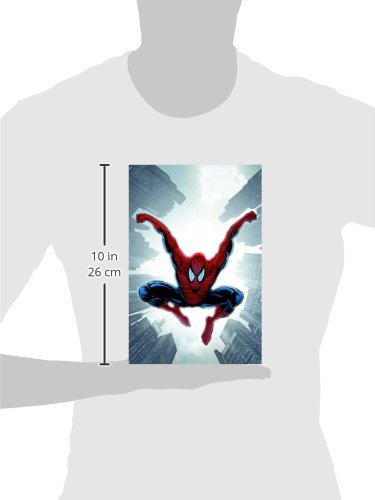 Spider-Man: Brand New Day, Vol. 2