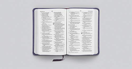 ESV Compact Bible (TruTone, Lavender, Bloom Design) by ESV B