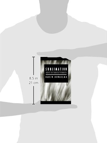 Sublimation: Inquiries into Theoretical Psychoanalysis