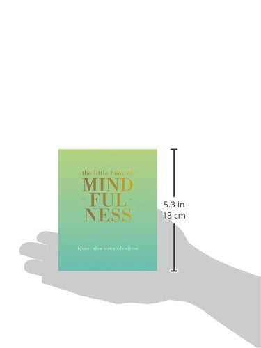 The Little Book of Mindfulness: Focus. Slow Down. De-stress.