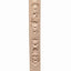 Witch Study Stick Kit (Learn to Carve Faces with Harold Enlow): Learn to Carve a Witch Booklet & Witch Study Stick (Fox Chapel Publishing) Hand-Cast Resin Study Stick and Step-by-Step Instructions