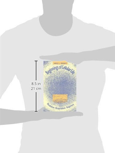 Beginnings of Cellular Life: Metabolism Recapitulates Biogenesis