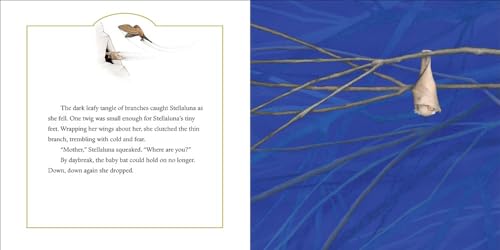 Stellaluna: A Heartwarming Animal Adventure About Identity, Family, and Finding Where You Belong