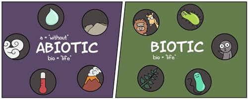 The Amoeba Sisters' Cartoon Guide to Biology: Science Simplified (Visual Learning Book for Science Class, Simple Biology Topics, Educational Illustrations and Facts)