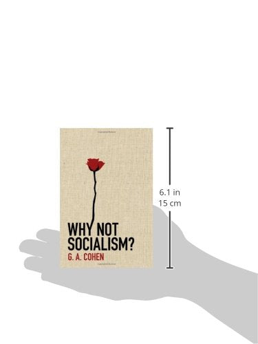 Why Not Socialism?