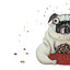 Pig the Pug