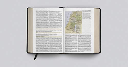 ESV Study Bible (Bonded Leather, Black)