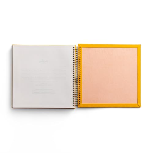 NIV Illustrating Bible Yellow: Genesis to Deuteronomy