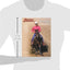 Reining: The Guide for Training & Showing Winning Reining Horses (A Western Horseman Book)