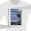 David Leadbetter 100% Golf: Unlocking Your True Golf Potential