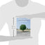 Constructed Climates: A Primer on Urban Environments