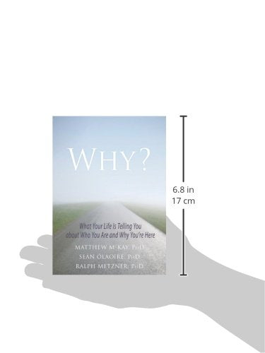 Why?: What Your Life Is Telling You about Who You Are and Why You're Here