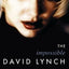 The Impossible David Lynch (Film and Culture Series)