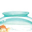 Memoirs of a Goldfish