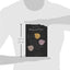 Being and Time (Contemporary Contin Philosophy)