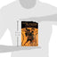 Vergil's Aeneid: Expanded Collection