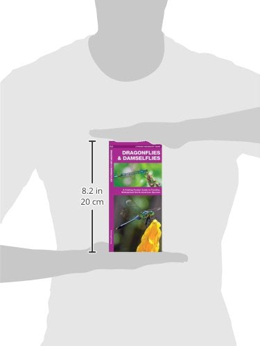 Dragonflies & Damselflies: A Folding Pocket Guide to Familiar, Widespread North American Species (Wildlife and Nature Identification)