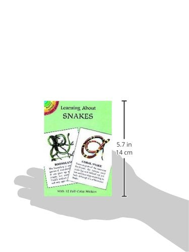 Learning About Snakes (Dover Little Activity Books: Animals)