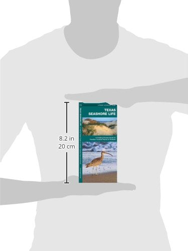 Texas Seashore Life: A Folding Pocket Guide to Familiar Coastal Plants & Animals (A Pocket Naturalist Guide)