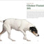Clicker Training for Dogs: Master Basic Training, Common Cues, and Fun Tricks in 15 Minutes a Day