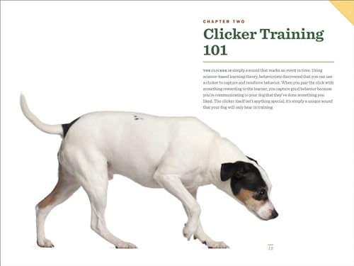 Clicker Training for Dogs: Master Basic Training, Common Cues, and Fun Tricks in 15 Minutes a Day